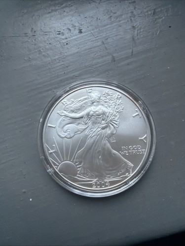 2004 usa silver - usa,