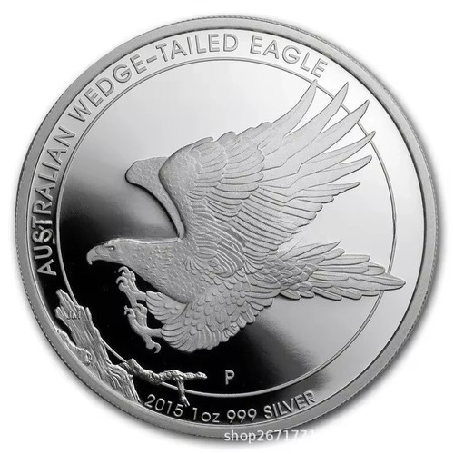 1oz solid silver coin - solid,