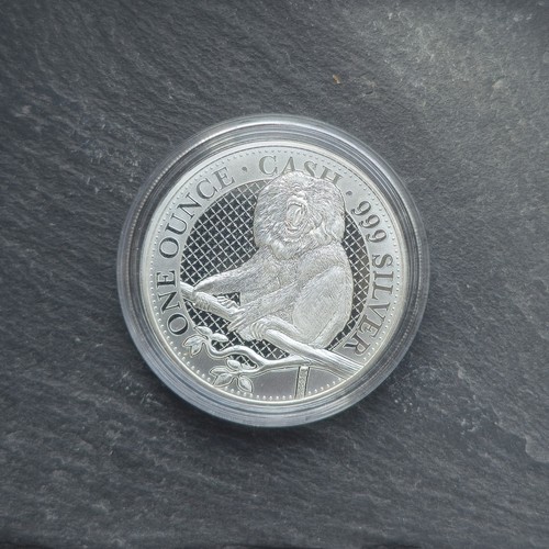 2023 helena macaque - st,