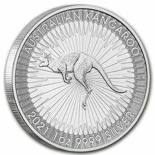 1oz solid 99.99% silver coin