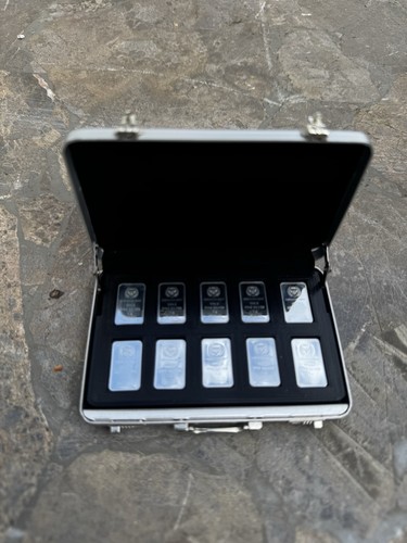 Bullion case holds 10 - 1g, x