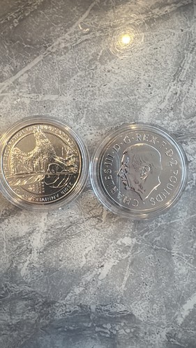 2026 1oz silver - silver, £2