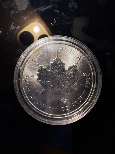 1oz silver maple leaf - , coin