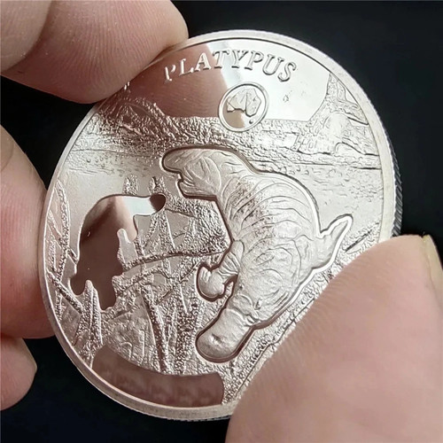 1oz solid silver coin - 1oz,