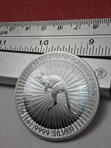 2016 australia kangaroo oz - 1,