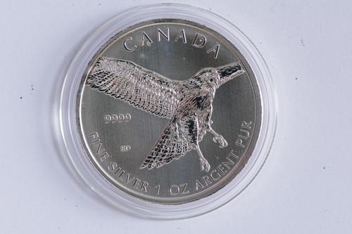 2015 1oz silver - 1oz,
