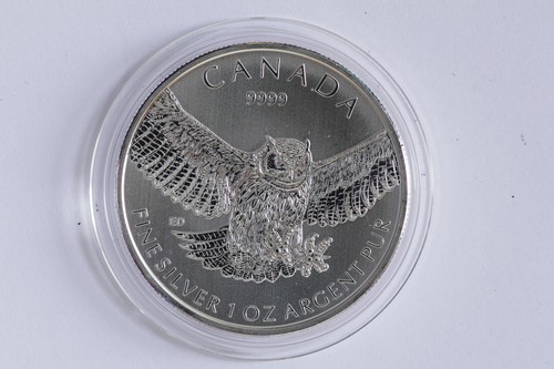 2015 1oz silver - 1oz, coin