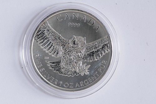 2015 1oz silver coin - 1oz,