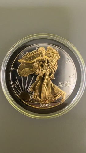 Rare 2002 1oz american silver - 2002,