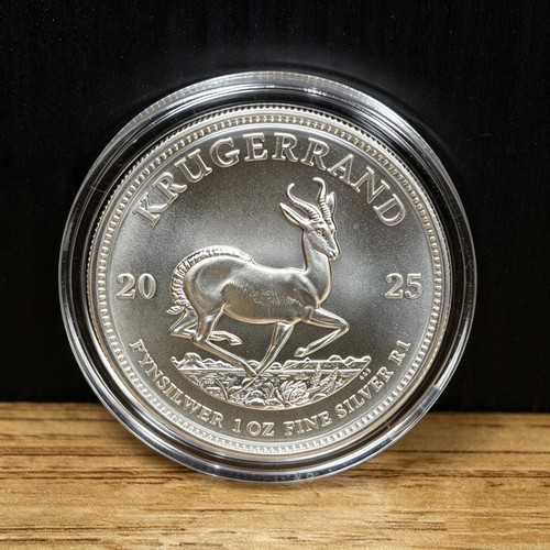 2025 south africa - south,