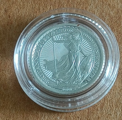 2024 solid silver - 1/10,