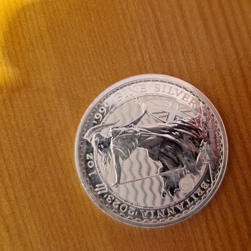 2023 britannia 1oz - 2023,